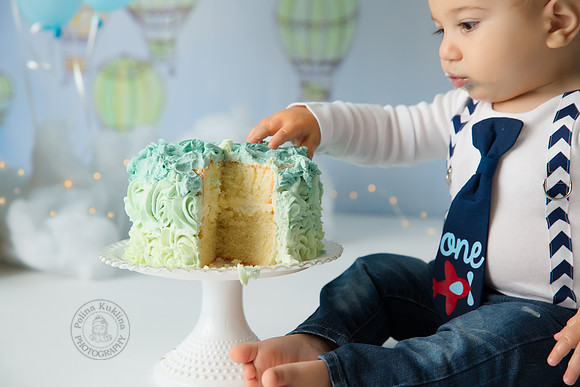 First Birthday photo session.