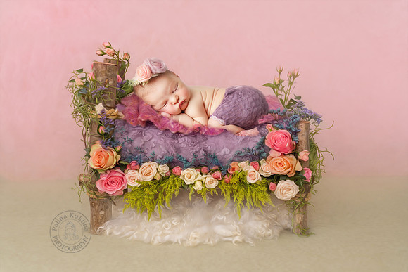 Best Newborn Photographer